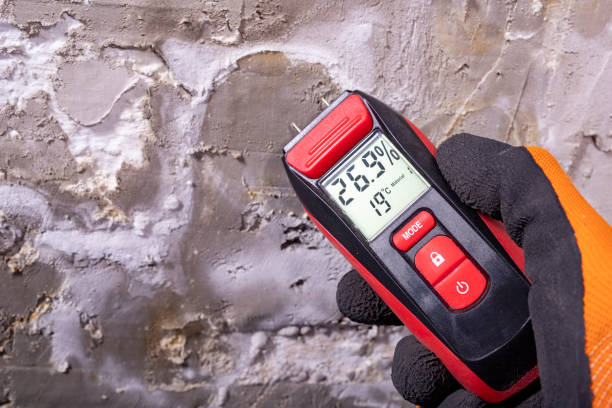 Best Fast Mold Removal  in Prestonsburg, KY