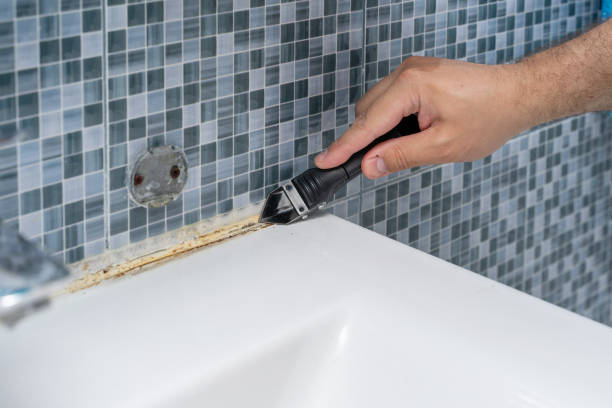 Best Mold Cleaning Services  in Prestonsburg, KY