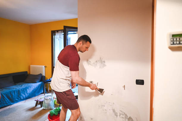 Best Local Mold Removal Service  in Prestonsburg, KY